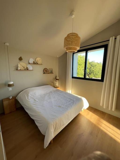 Villa Des Mattes - Superbe Maison De Famille 15 Couchages Crillon-le-Brave Εξωτερικό φωτογραφία